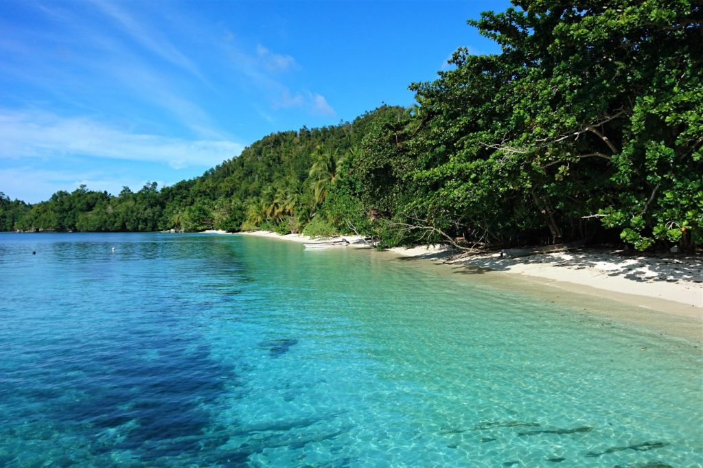White sandy beach with green trees and crystal clear blue water in Raja Ampat