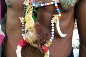 Colorful necklace with bones, teeth and bird of paradise of head of the village