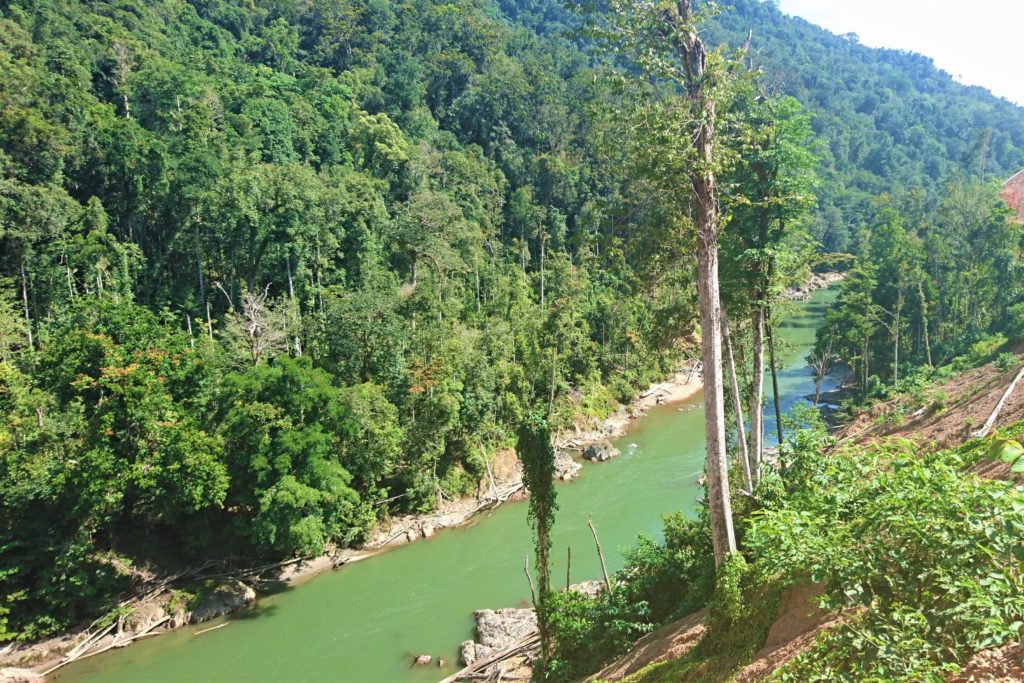 Steep valley with a river and trees in the highlands of West Papua