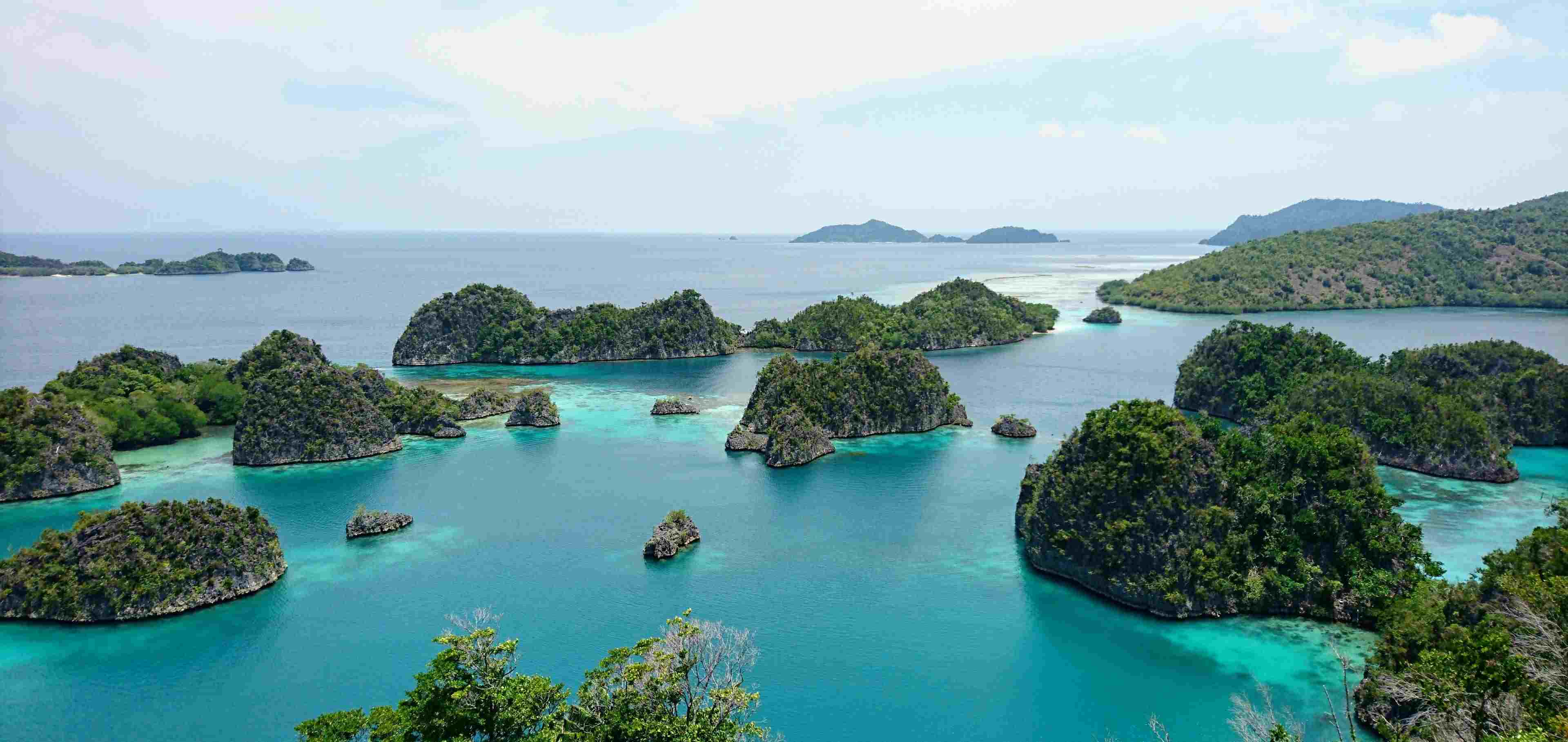 You are currently viewing 5 reasons why Raja Ampat should be on your bucket list