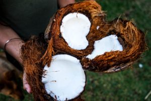 Read more about the article The Coconut Part II: Tree of Life and its amazing uses
